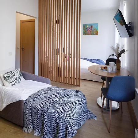 Leonardo Studio In City Center Apartman Riga